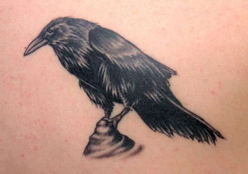 Black And Grey Raven Tattoo Design By Dylan Briggs