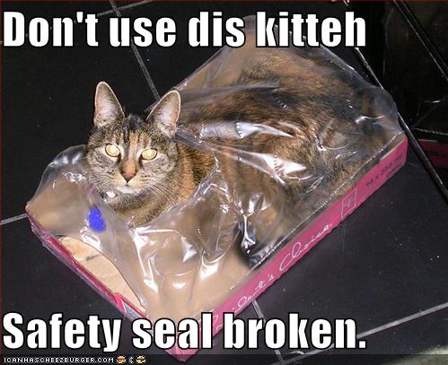 Cat Safety Seal Broken Funny Picture
