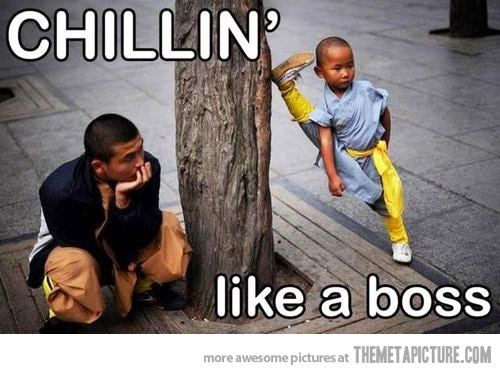 Chillin Like A Boss Funny Karate Kid Picture