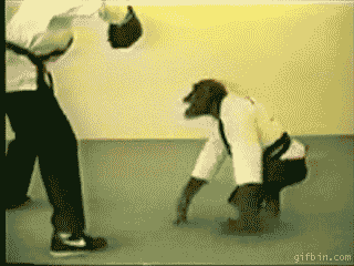 Chimpanzee Funny Karate Gif Picture