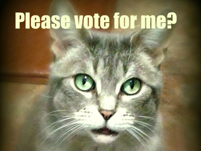 Cute Cat Says Please Vote For Me
