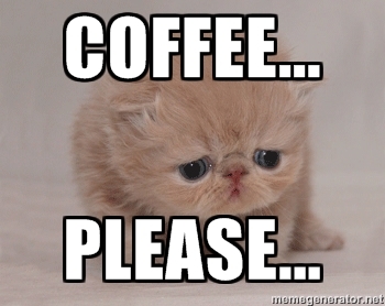 Cute Sad Kitten Says Coffee Please