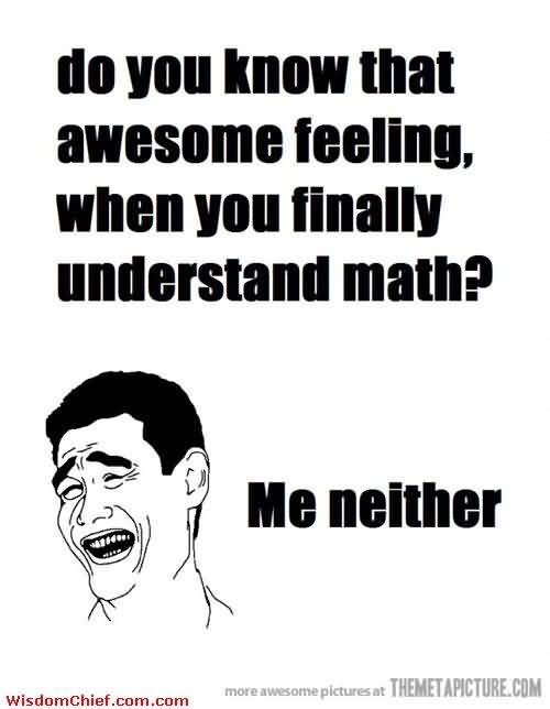 Do You Know That Awesome Feeling When You Finally Understand Math Funny Picture