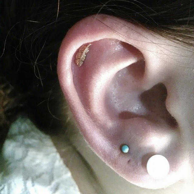 Double Lobe And Feather Stud Forward Helix Piercing Picture