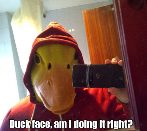 31 Very Funny Duck Pictures