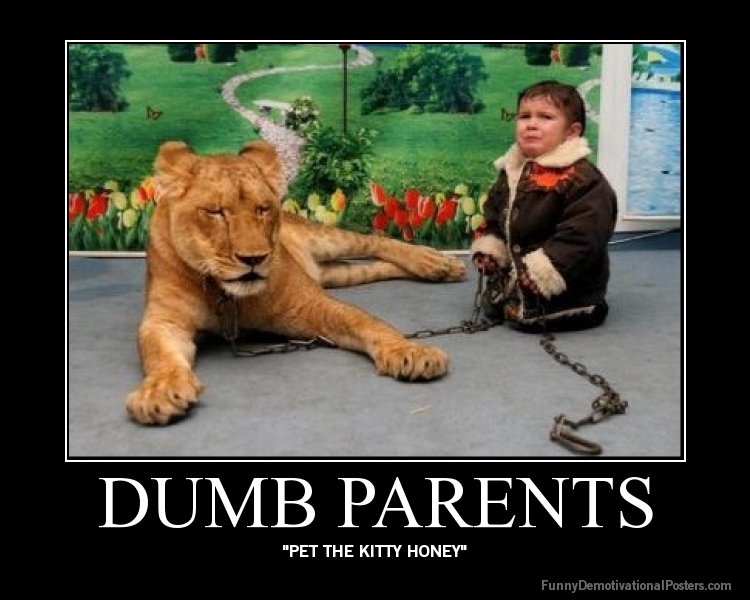 Dumb Parents Pet The Kitty Honey Funny Parents Poster