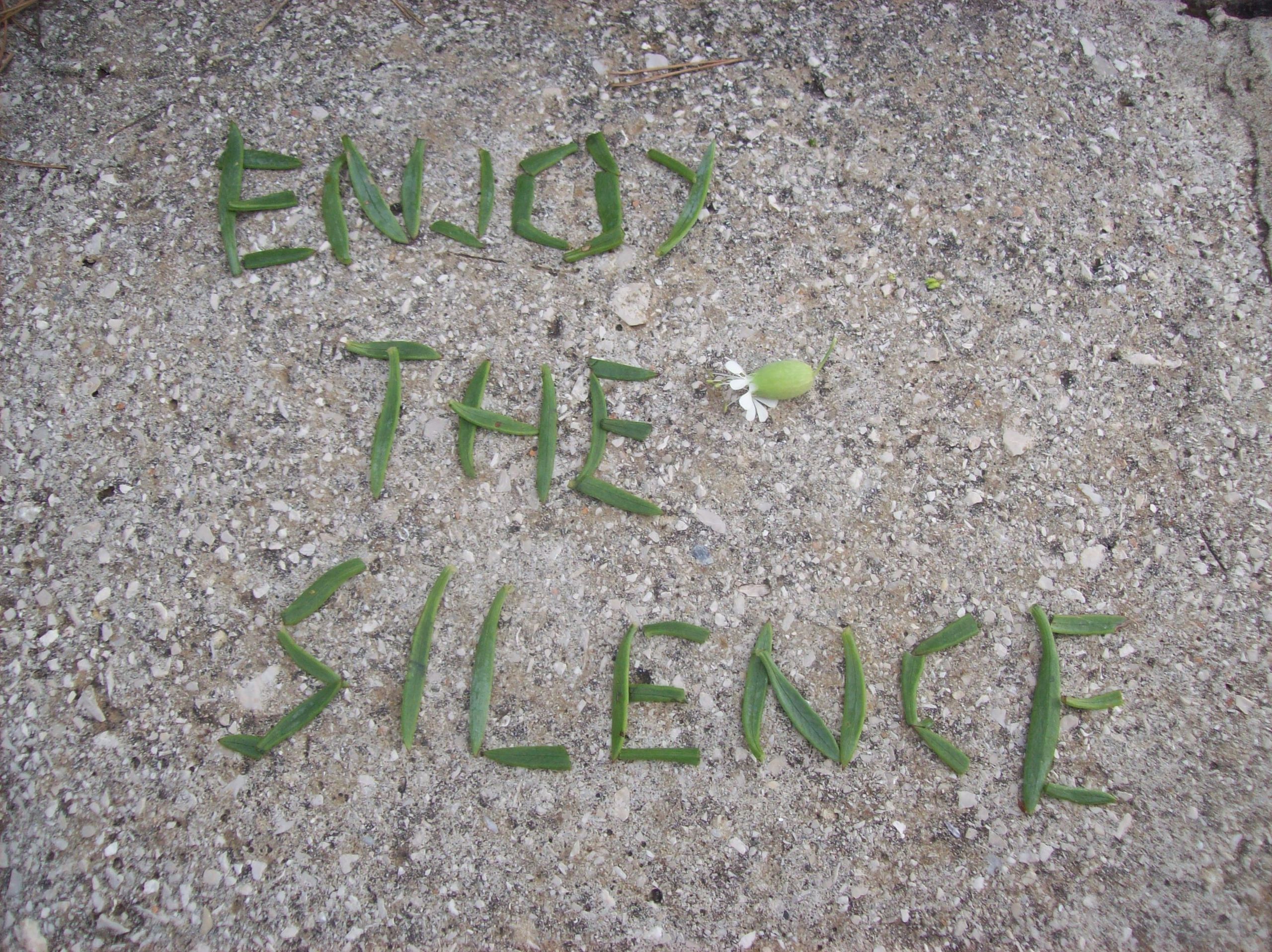 Enjoy The Silence Picture