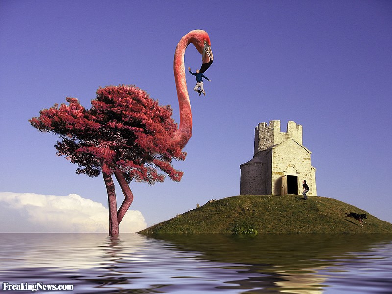 Flamingo Tree Funny Attacking Man