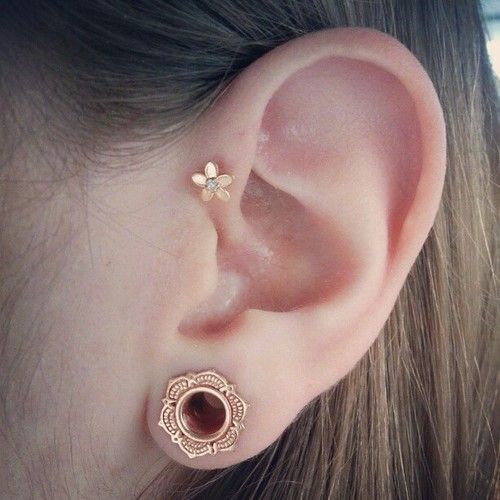 Forward Helix And Cute Ear Stretching For Girls
