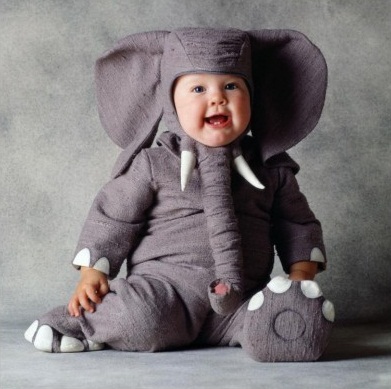 Funny Baby Girl In Elephant Costume
