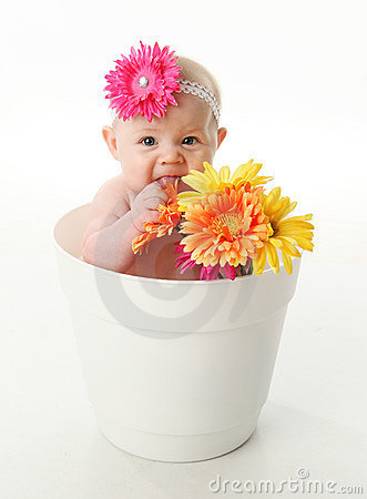 Funny Baby Girl In Pot Eating Flower