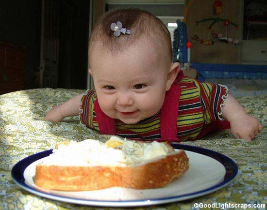 Funny Baby Girl Looking At Food
