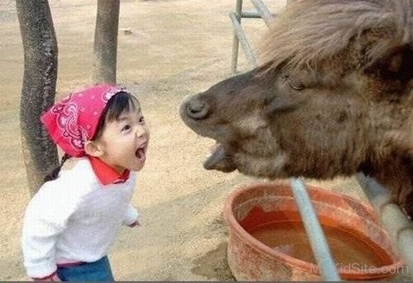 Funny Baby Girl With Cow