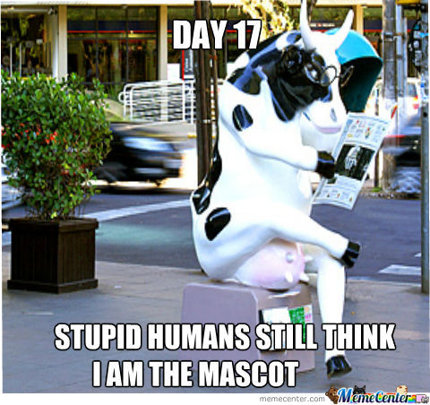 Funny Cow Reading Newspaper