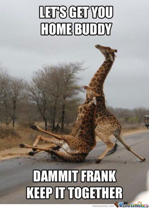 Funny Drunk Giraffe Meme