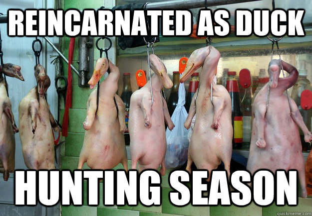 Funny Duck Hunting Season Meme.