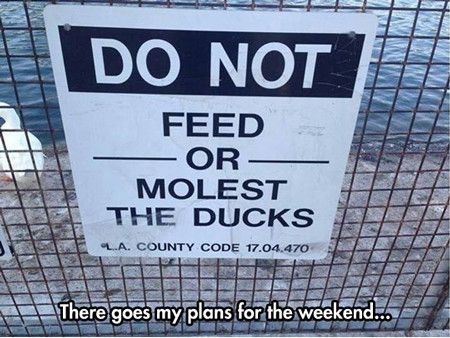 Funny Duck Warning Sign Picture