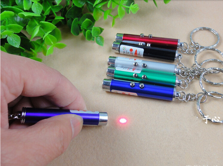 Funny Electronic Laser Pen