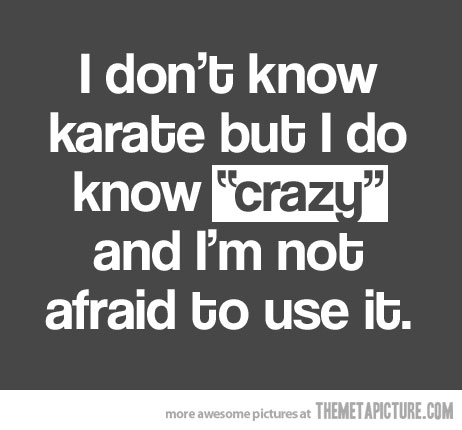 Funny Karate Quote Picture