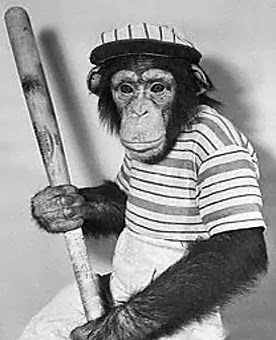 Funny Monkey Baseball Player
