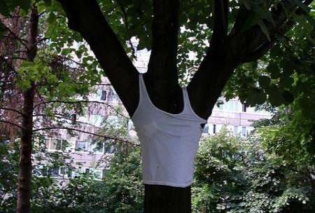 Funny Tree In Undershirt