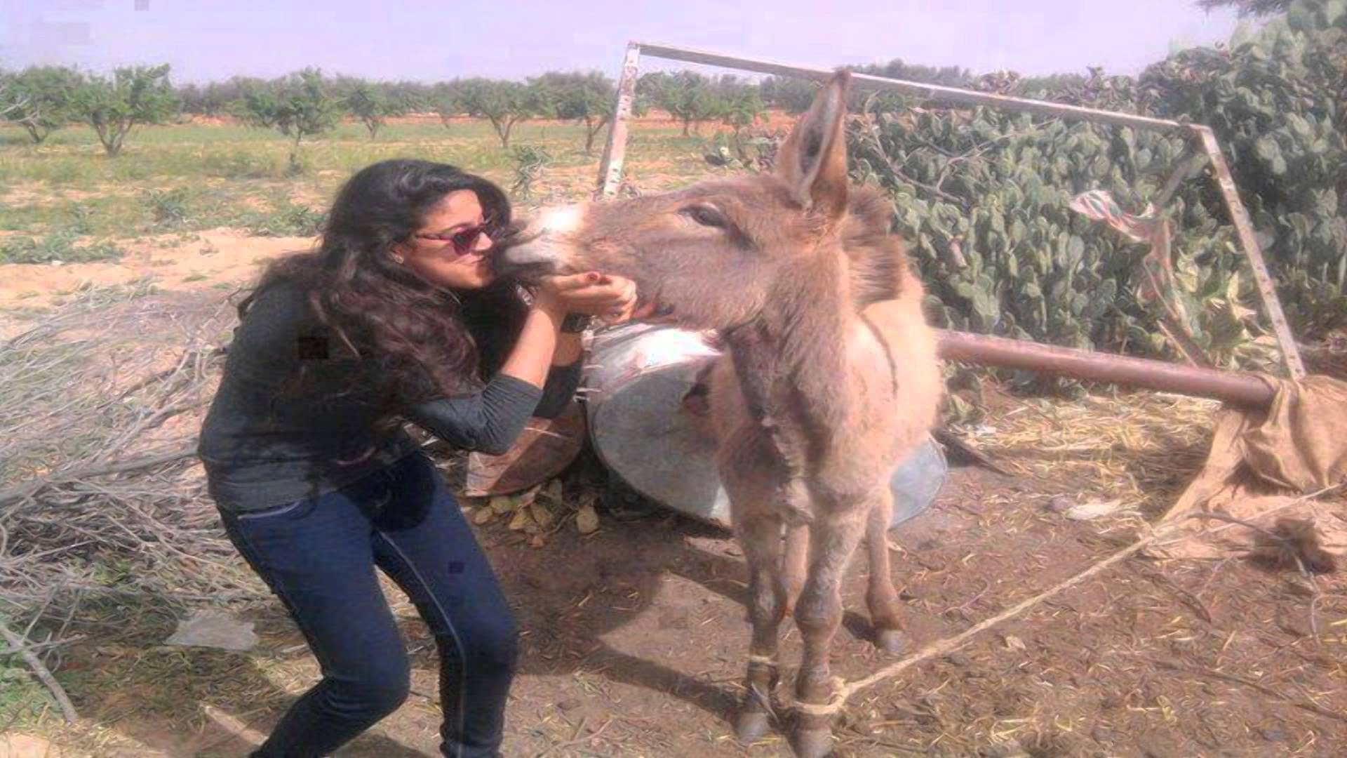 Girl And Donkey Funny Kissing Picture.