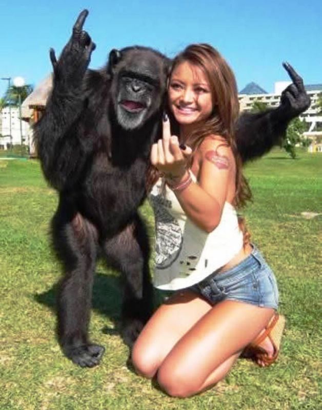 Girl With Gorilla Funny Picture