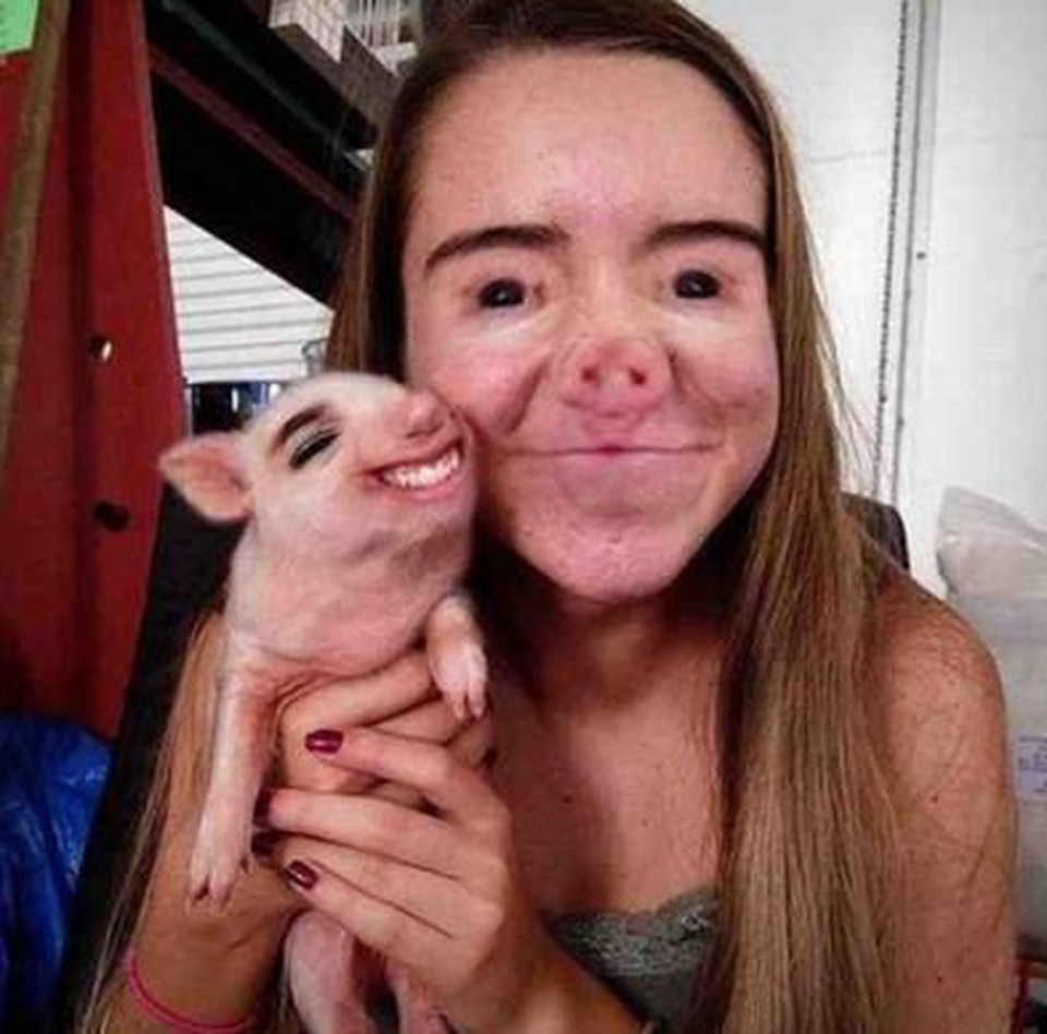 Girl With Pig Face Funny Picture