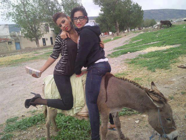 Girls Sitting On Donkey Funny Image