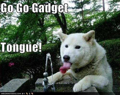 Go Go Gadget Tongue Funny Nonsense Picture