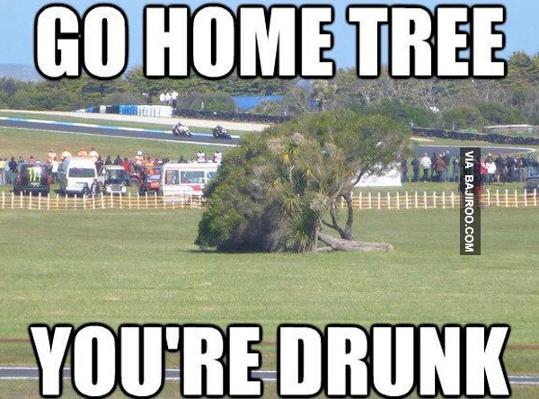 Go Home Tree You Are Drunk Funny Image