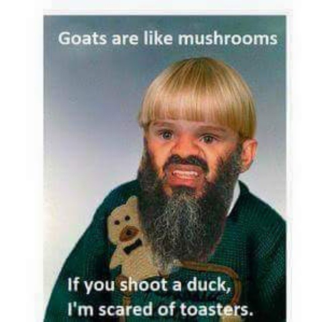 Goats Are Like Mushrooms Funny Nonsense Picture