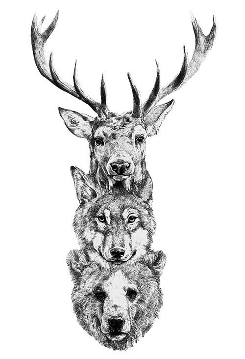Grey Ink Deer, Wolf, Bear Head Tattoo Design