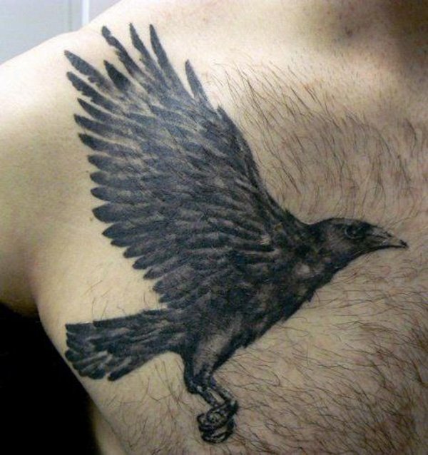 Grey Ink Flying Raven Tattoo On Man Right Chest