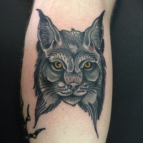 Grey Ink Lynx Head Tattoo Design For Forearm