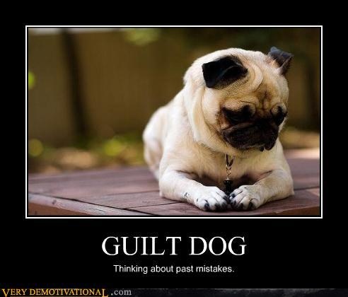 Guilt Dog Thinking About Past Mistakes Funny Nonsense Poster