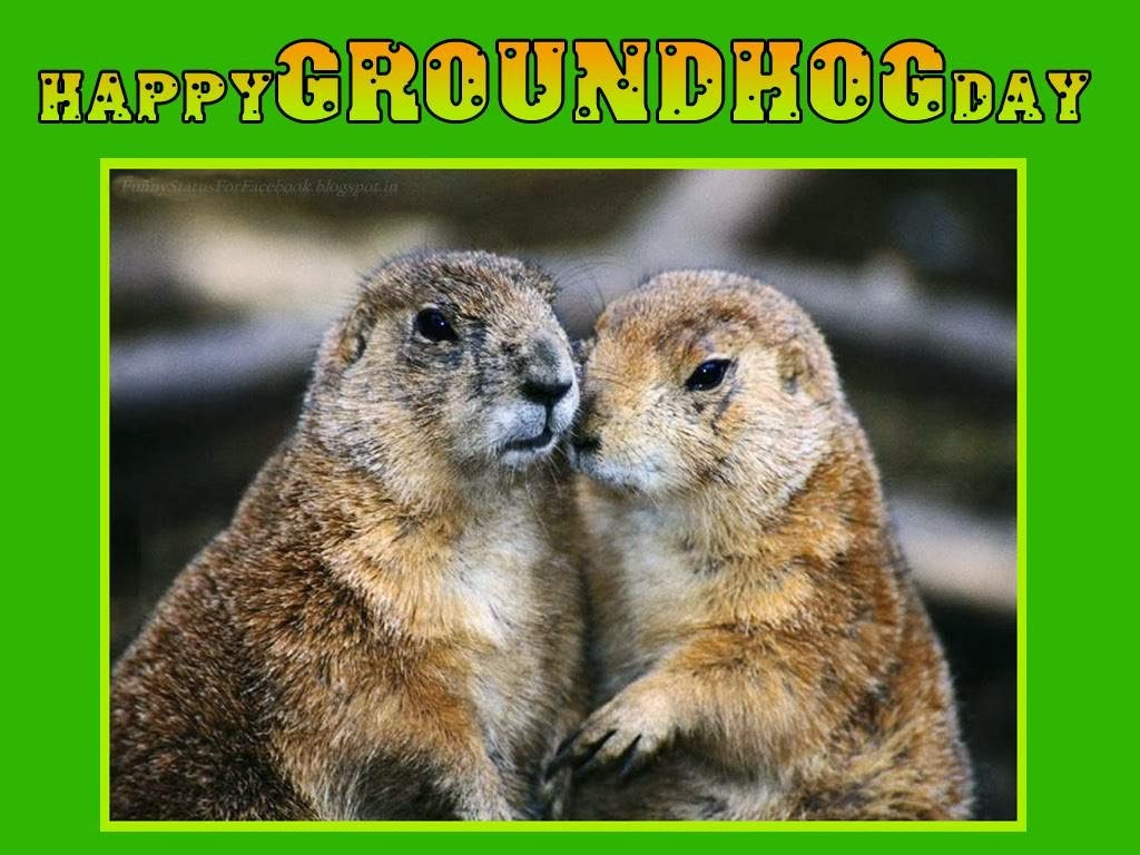 Happy Groundhog Day Greetings