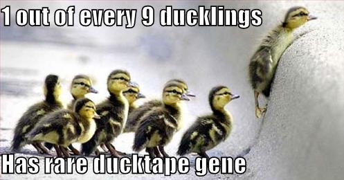 Has Rare Ducktape Gene Funny Duck Meme