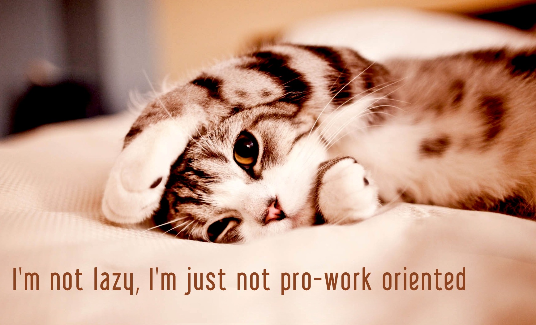 I Am Not Lazy I Am Just Not Pro Work Oriented Funny Picture
