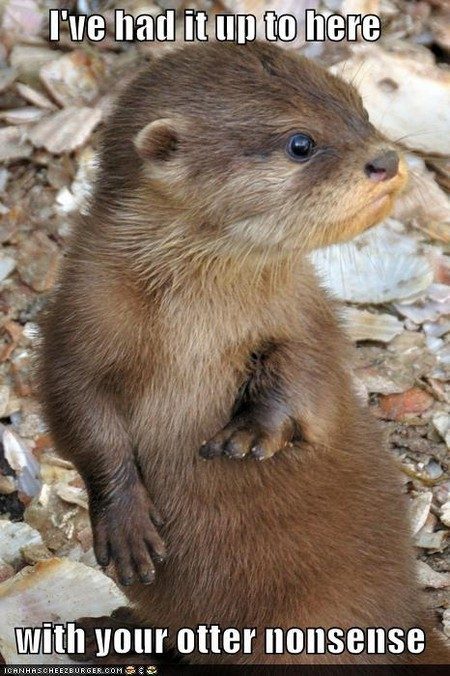 I Have had It Up To Here With Your Otter Nonsense