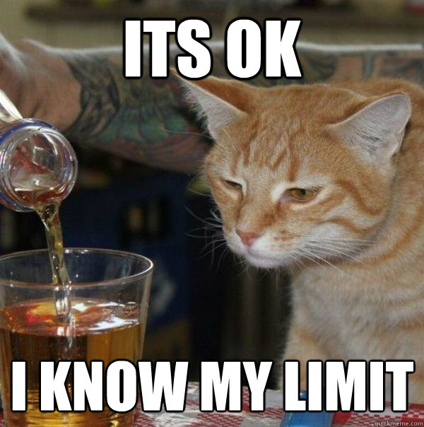 I Know My Limit Funny Drunk Cat Meme