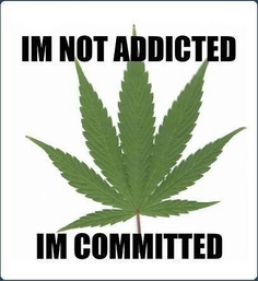 I'm Not Addicted To Weed I'm Committed
