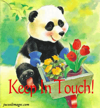 Keep In Touch Panda Bear With Flowers