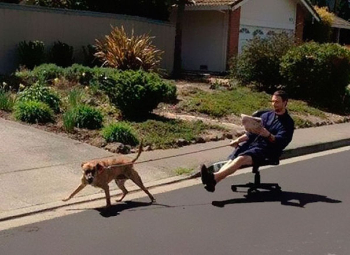 Lazy Man With Dog Cart Funny Image