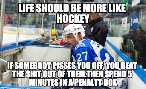 Life Should be More Like Hockey Funny Meme