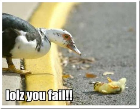 Lolz You Fail Funny Duck Caption