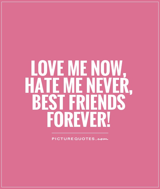 Love Me Now Hate Me Never Best Friends Forever