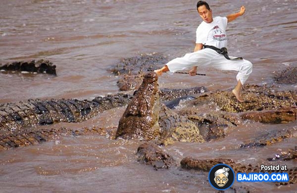 Man Kicking Crocodile Funny Karate Photoshopped