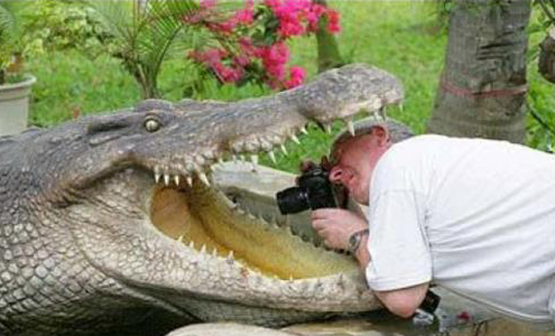 Man Shooting Photo Under Crocodile Mouth Funny Picture