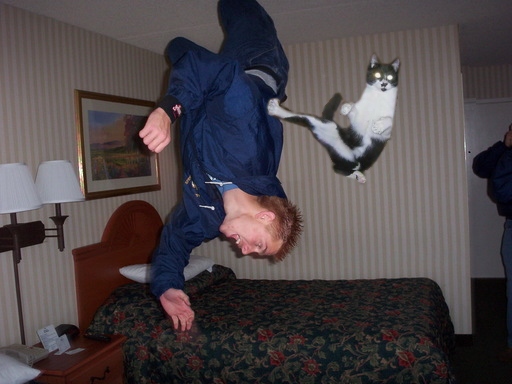 Man Vs Cat Funny Karate Picture